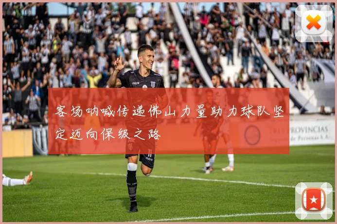 客场呐喊传递佛山力量助力球队坚定迈向保级之路