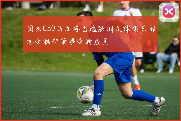 国米CEO马洛塔当选欧洲足球俱乐部协会执行董事会新成员