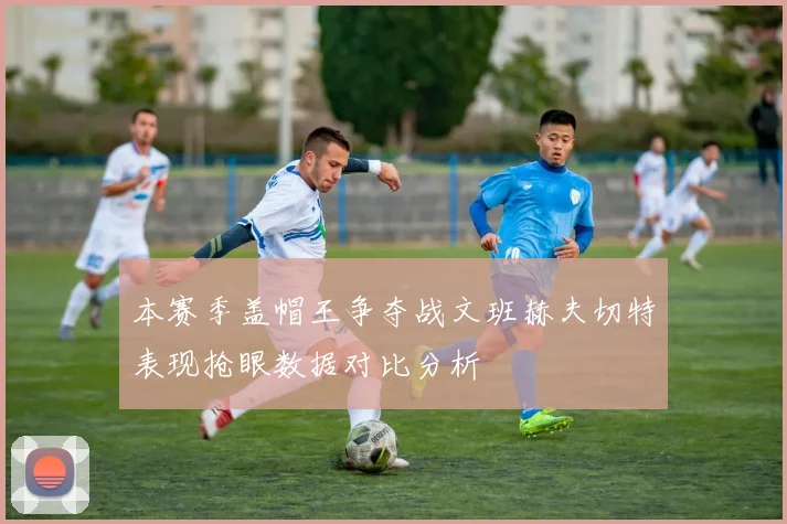 本赛季盖帽王争夺战文班赫夫切特表现抢眼数据对比分析