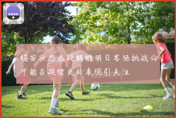 锡安状态成疑鹈鹕明日客场挑战公牛能否延续良好表现引关注