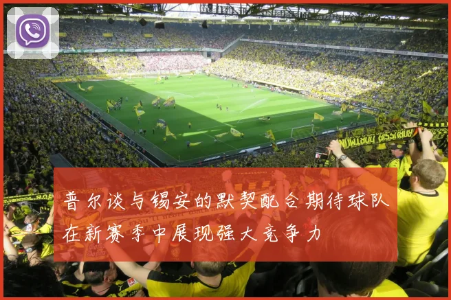 普尔谈与锡安的默契配合期待球队在新赛季中展现强大竞争力